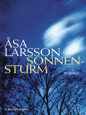 cover image of Sonnensturm